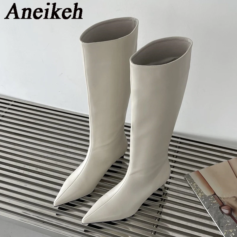 Aneikeh 2026 موضة مثيرة وأشار  - مراجعة Women'S Fashion Knee High Boots وسعره